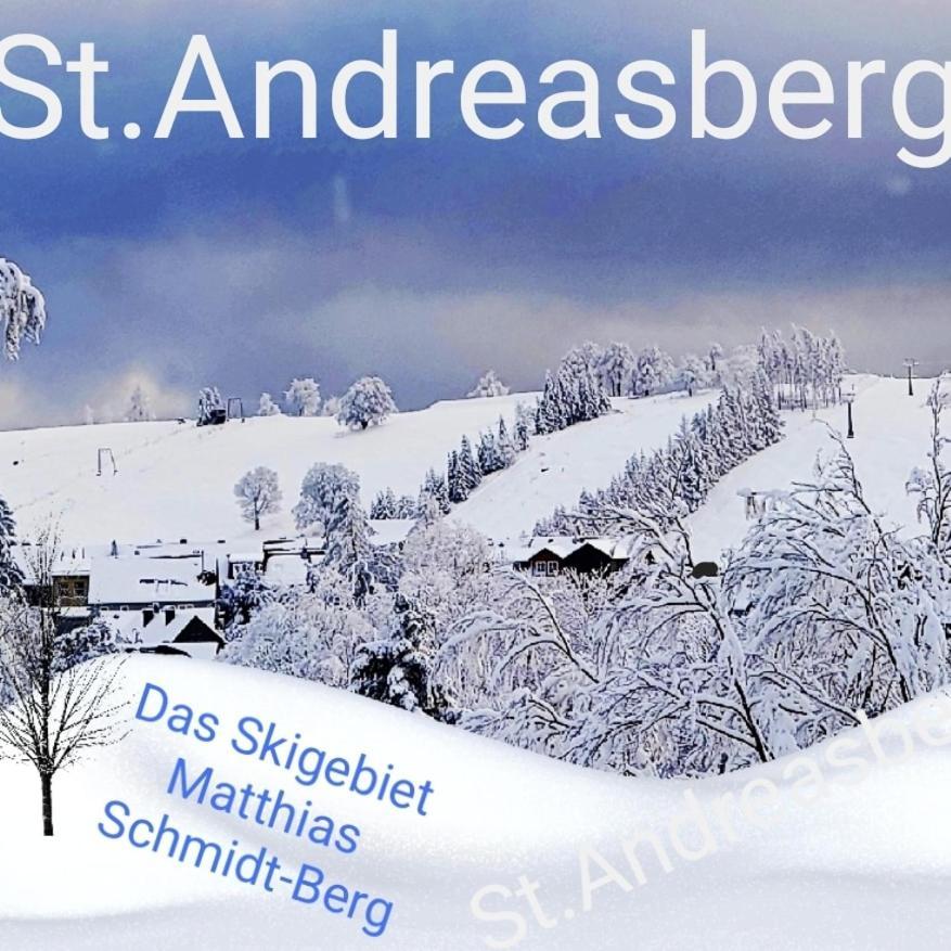 4 Sterne Ferienwohnung 140 Qm Im Haus Tina Sankt Andreasberg Ngoại thất bức ảnh