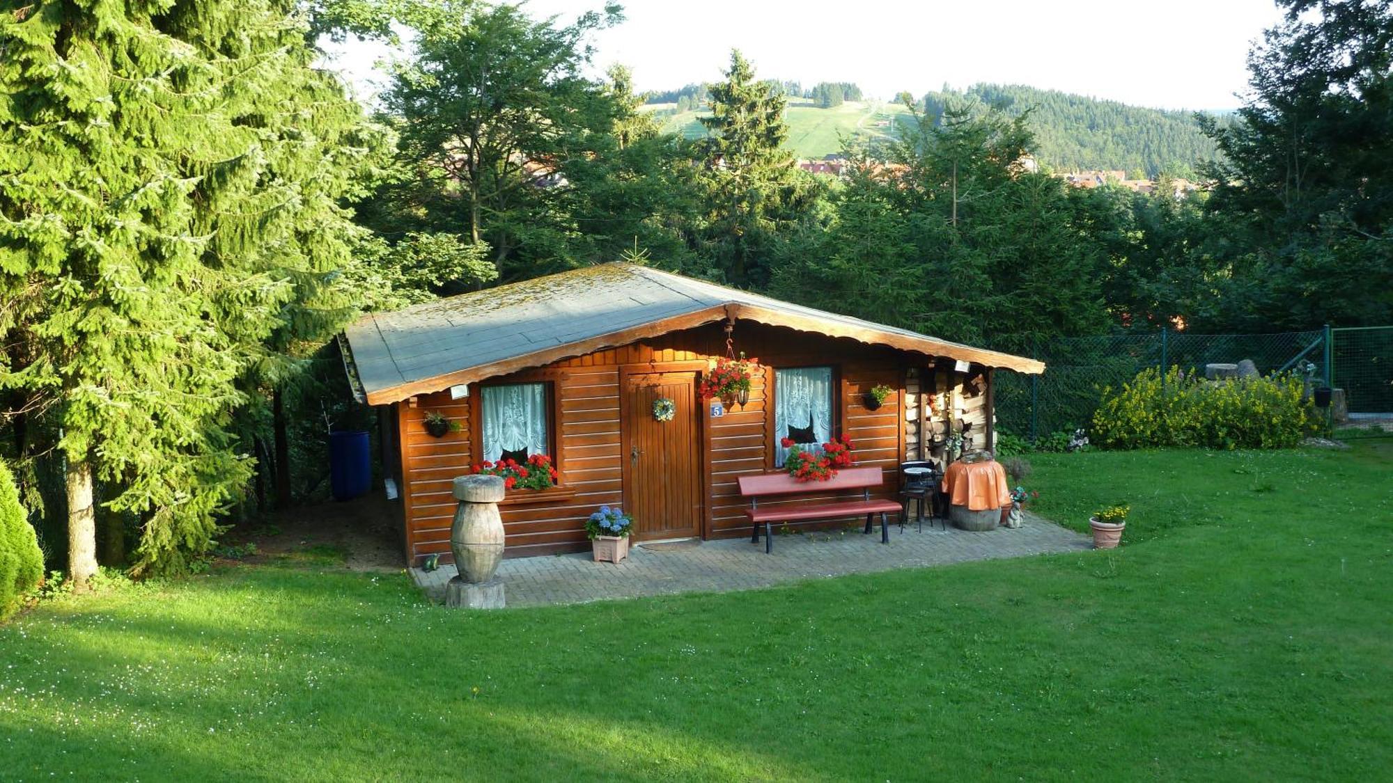 4 Sterne Ferienwohnung 140 Qm Im Haus Tina Sankt Andreasberg Ngoại thất bức ảnh